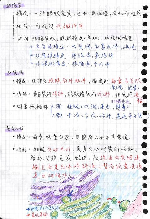 生物