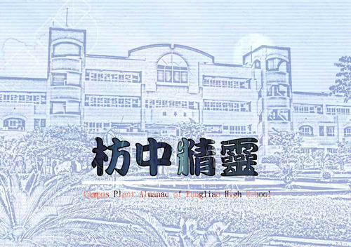 封面1 封面1