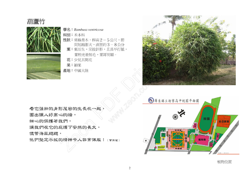 2葫蘆竹2 2葫蘆竹2